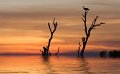 39 - Kakadu sunset - FULLER URSULA - united kingdom